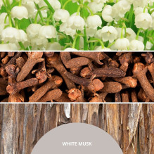 Kvapų Difuzorius - Millefiori 500 Ml White Musk Reed Diffuser Balta