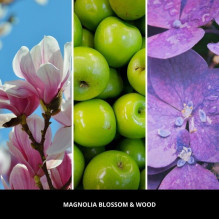 Automobilio Oro Gaiviklis - Millefiori Magnolia Blossom & Wood Rožinis Automobilio Oro Gaiviklis - Millefiori Magnolia Blossom & Wood Rožinis