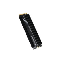 SSD diskas Transcend MTE250H 2TB M.2 2280 PCI-E x4 Gen4 NVMe (TS2TMTE250H) SSD diskas Transcend MTE250H 2TB M.2 2280 PCI-E x4 Gen4 NVMe (TS2TMTE250H)