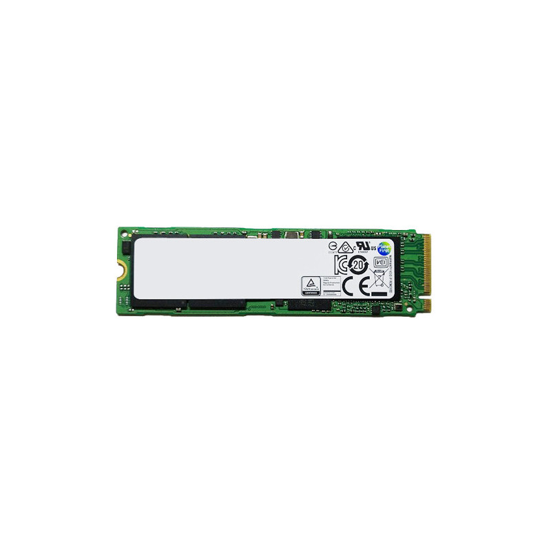 SSD diskas Fujitsu 256GB M.2 2280 PCI-E (FPCSCH02GP)
