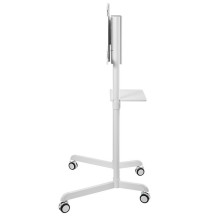 Neomounts Floor stand NS-M1250WHITE 37'' - 70'' Neomounts Floor stand NS-M1250WHITE 37'' - 70''
