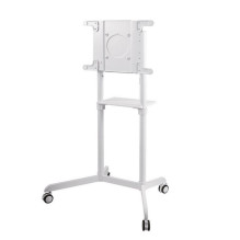 Neomounts Floor stand NS-M1250WHITE 37'' - 70'' Neomounts Floor stand NS-M1250WHITE 37'' - 70''