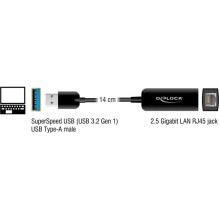 DELOCK Adapter USB Type-A Plug to 2.5 Gigabit LAN Compact