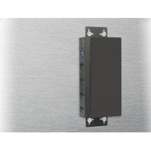 USB centrmezgls Delock 4x USB-A 3.0 (63309) USB centrmezgls Delock 4x USB-A 3.0 (63309)