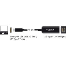 Adapter USB Delock 66645 USB-C - RJ-45 Black (66645)