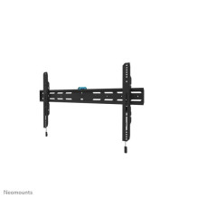 Neomounts Sieninis laikiklis WL30S-850BL18 43'' - 98''