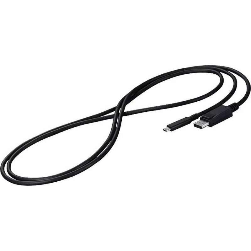 USB kabelis Eizo USB-C - DisplayPort 2 m juodas (CP200-BK)