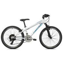 Dviratis kalnų Torpado, 24 ", 21 pavara