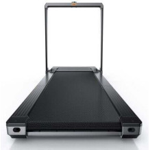 Treadmill Kingsmith WalkingPad X23 Treadmill Kingsmith WalkingPad X23