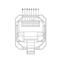 Phoenix Contact VS-08-RJ45-5-Q / IP20