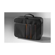 Celexon 1091409 projector case