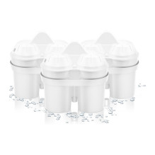 BWT 814873 water filter