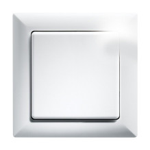 Eltako FT55-wg light switch