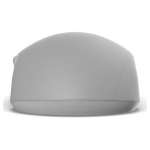 Endgame Gear XM2w 4k v2 Žaidimų pelė – White Frost Endgame Gear XM2w 4k v2 Žaidimų pelė – White Frost