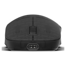 Endgame Gear XM2w 4k v2 Žaidimų pelė – Dark Frost
