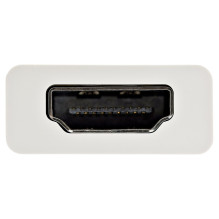 StarTech.com CDP2HD4K60W USB graphics adapter
