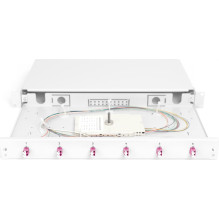 DIGITUS LWL Spleißbox 1HE bestückt 6x LC DX OM4 Gray