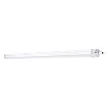 DAMP PROOF COMPACT TH...