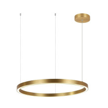 Luminaire ceiling Light...