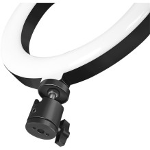 Logilink Smartphone-Ringlicht. DM 20cm. 1.8m Kabel Logilink Smartphone-Ringlicht. DM 20cm. 1.8m Kabel