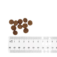 BULT ėriena - sausas šunų ėdalas - 3 kg BULT ėriena - sausas šunų ėdalas - 3 kg