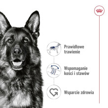 ROYAL CANIN Maxi Loaf - wet dog food - 410g