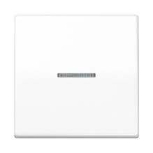 JUNG AS101KO5WW wall plate...