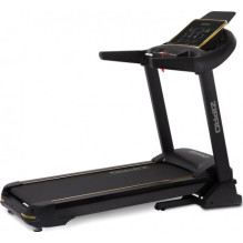Zipro Pacemaker Gold iConsole+