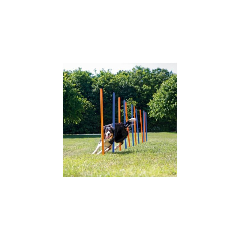 TRIXIE Trixie HANDLE SHARES 12 Pcs.1.15M 3
