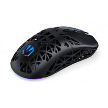 Endorfy LIV Plus Wireless Black