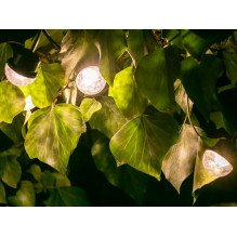 Tracer 46970 Outdoor Light String IP65 230V 15 Bulbs 45W Tracer 46970 Outdoor Light String IP65 230V 15 Bulbs 45W