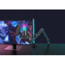 „Fifine T669 Pro 3“ su RGB apšvietimu ir stovu „Fifine T669 Pro 3“ su RGB apšvietimu ir stovu