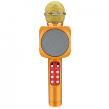 Riff WS-1816 16W karaoke BT microphone with LED 360 Gold Riff WS-1816 16W karaoke BT microphone with LED 360 Gold