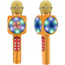 Riff WS-1816 16W karaoke BT microphone with LED 360 Gold Riff WS-1816 16W karaoke BT microphone with LED 360 Gold