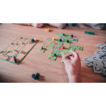 Brain Games Carcassonne