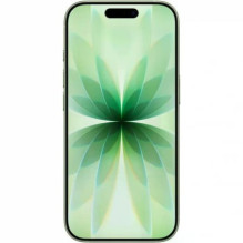 Apple iPhone 17 256GB Sage Apple iPhone 17 256GB Sage
