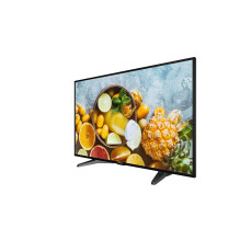 Hikvision SP 43" monitorius DS-D5043QE