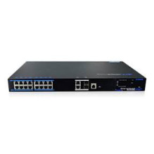 16 ports, 16 PoE switch...