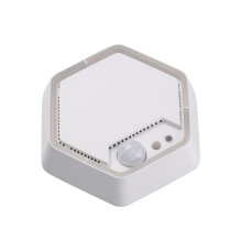Daugiafunkcinis jutiklis Bisly UMS 5.3 (Baltas, 24V DC, IP30)