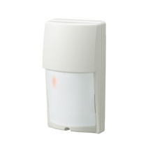 Outdoor motion detector...
