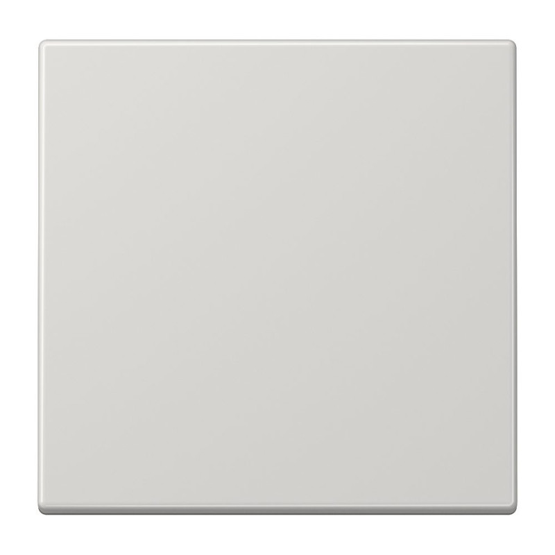 1st class finish JUNG LS990 (gray)