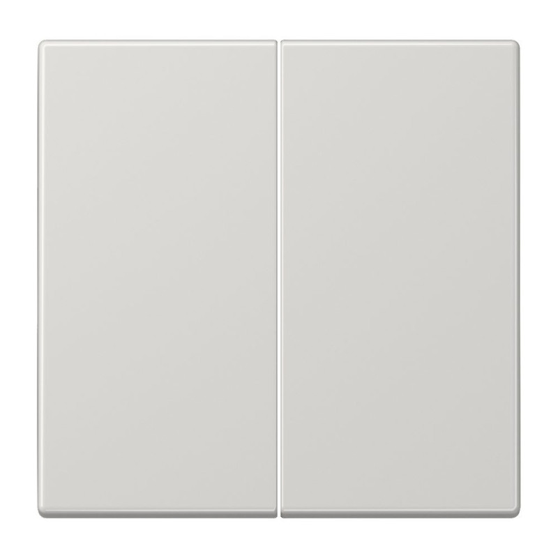2nd class finish LS990 JUNG LS995SW (gray)