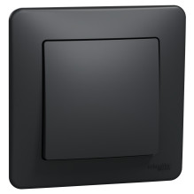 1-place frame Schneider...