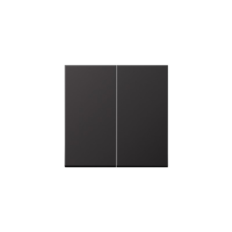 2nd class finish JUNG AL2995D (black, lacquered color)