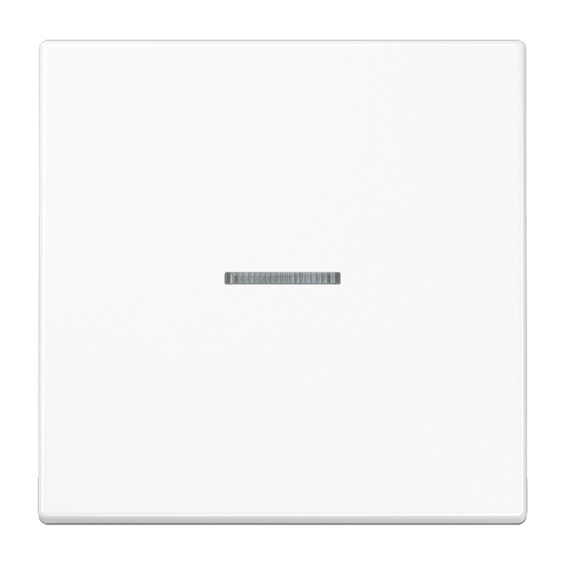 1st class finish with indicator LS990 JUNG LS990KO5WW (white)