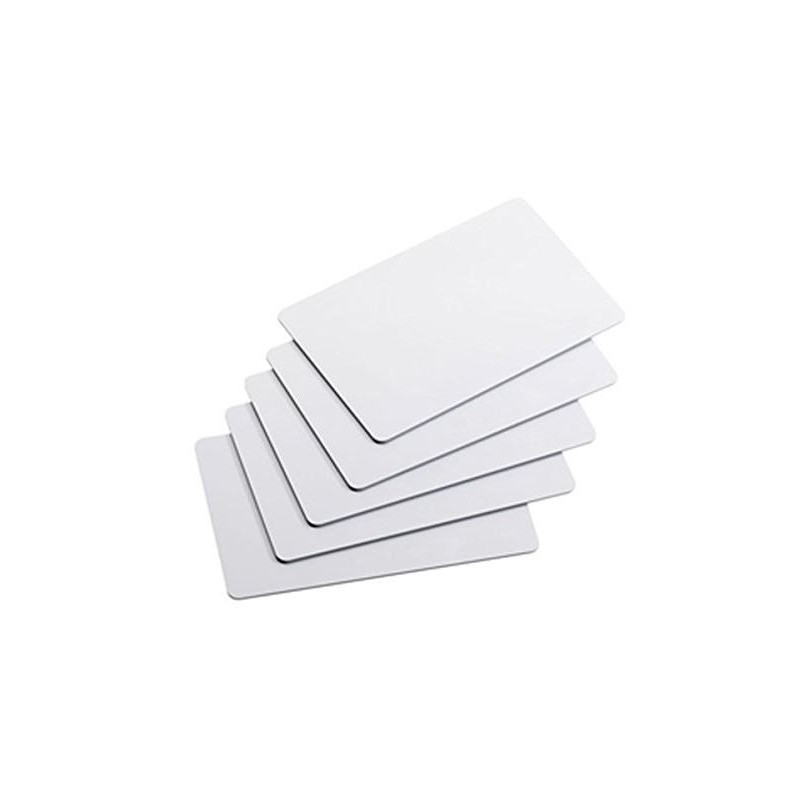 Kortelė RFID S301A (su numeriu ant kortelės MFC)