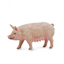 COLLECT Collect Figure SOW
