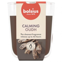 Bolsius True Scents...