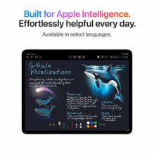 Apple iPad Air 13" M4 Wi-Fi+Cellular 512GB Space Gray MH9M4HC / A Apple iPad Air 13" M4 Wi-Fi+Cellular 512GB Space Gray MH9M4HC / A