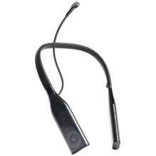 Viture Pro 256GB Neckband